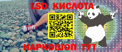 крисы Можга