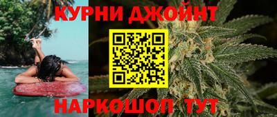 крисы Можга