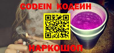 крисы Можга